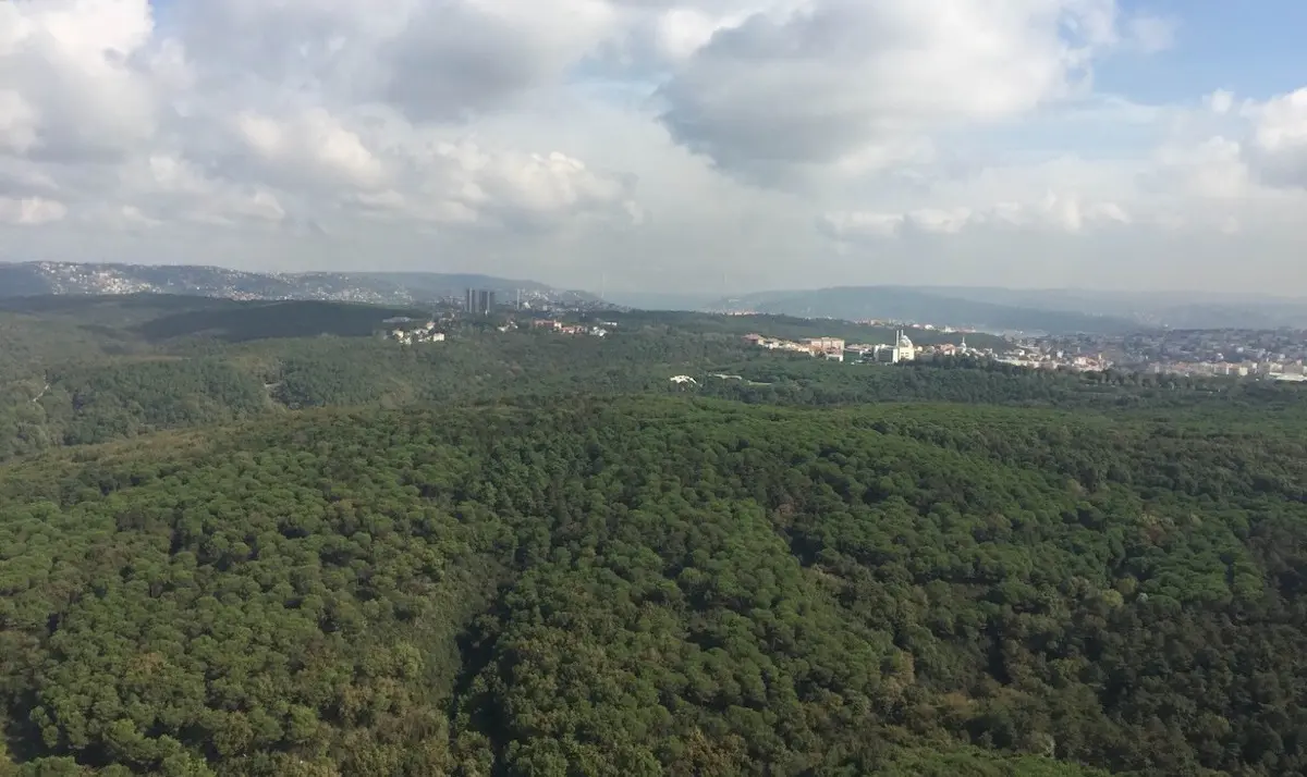 İstanbul’daki ormanlar